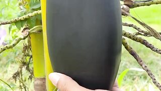 Nice water nut
