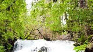Beautiful nature 312