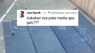 Pemijahan lele gak akan lancar tanpa alat ini