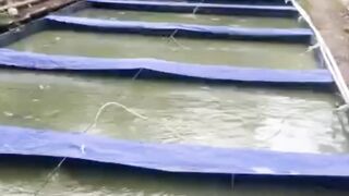 Gak perlu repot❗Nambal kolam bocor hanya hitungan detik