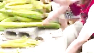 Trash Turns Into Useful Products #useful #products #luffa #sponsegourd