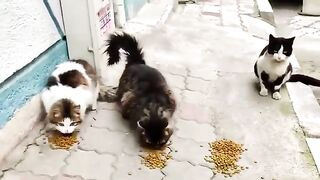 Bon appétit to the lovely angels of the street!
