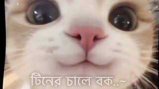Se*xy Video