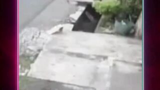 Kerbau Lepas Tabrak Motor, Ibu dan Anak Jadi Korban di Kudus