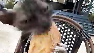 Calm down, all the bread is yours.