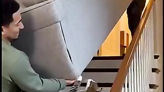 Does your cat help you?