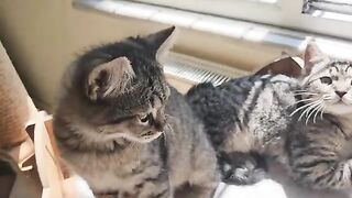 She stayed hungry until her babies finished eating.