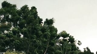 Badai akan berlalu.