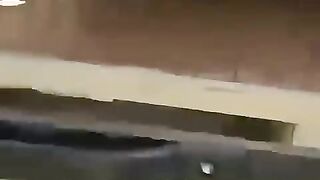 Can these baby cheetahs survive in the wild.mp4.2026