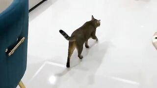 Don't Touch My Box