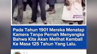 303VIP 19