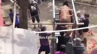 Ini video sebelum terjadinya sapi