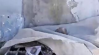 Mama's cat was distraught and begged her kittens to save them