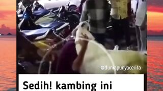 sabar yah mbee jangan sedih