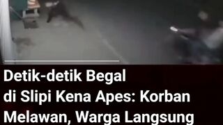 BEGAL KENAL APES