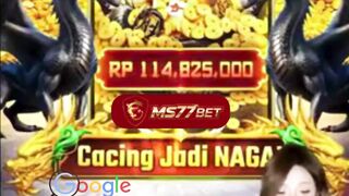 MS77BET Game Online Terbaik & Terpercaya