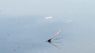 Fishing 70
