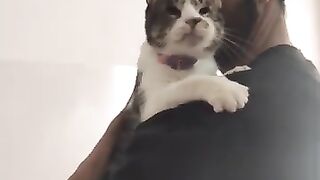 A year since the cat Gatita was rescued