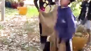 ASMR Catching Durian #asmr #durian #fruitcatching