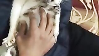 My Cat (Gatita) Loves Me Even Though She Can't See Me