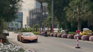 Luxury 26
