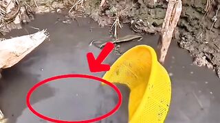 মাছ ধরার ভিডিও