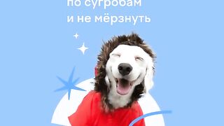 Festive mood