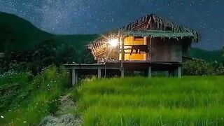 Beautiful view of nature 137