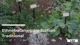 Ethnobotany