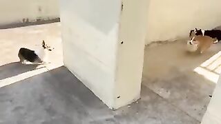 very funny #videos