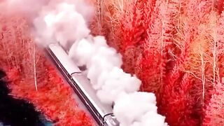 Beautiful view of nature 138