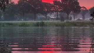 Beautiful view of nature 139