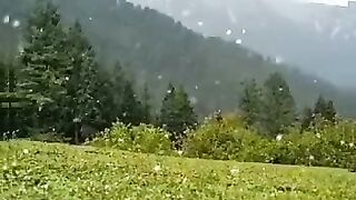 Beautyfull snow falling