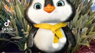 cute penguin-WhatsApp-Instagram Status | John92