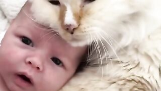 Funny Baby and CatsFunny Cat Videos(Hilarious) #shorts #cutebaby BABY BUBBLE @wowbabybubble Subscribe WOW BABY BB) Home Shorts Subscriptions Library O
