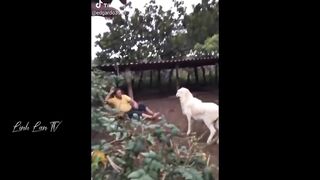 Funny Moments Of The Year Compilation