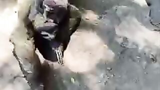 amaizing animal