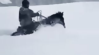 روس.. 25 مائنس سردی