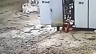 Electronic robo coop