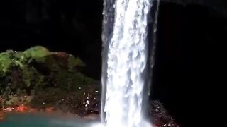 Video da natureza