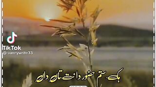 Mansoor Sarika song