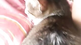 My kitten with EB Singing Queen new song Oh, Baby