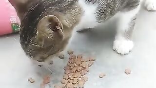 Crunchy Breakfast