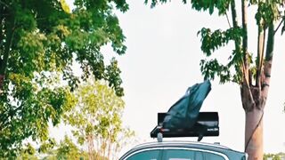 Your Car Needs This!The Smart Remote-Control Roof Canopy You Didn't Know Existed!