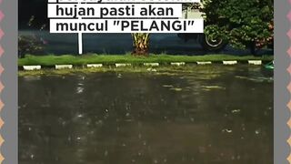 Pelangi 4