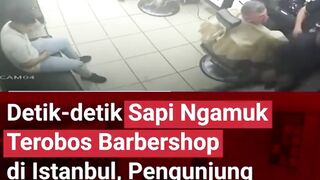 SATU BARBERSHOP DIBIKIN PANIK WKWKW