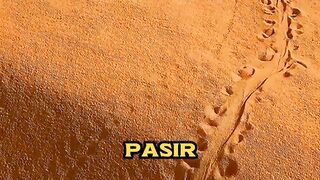 makhluk aneh di gurun ????