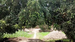 My village view 2