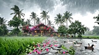 বাংলার অপরূপ সুন্দর্য