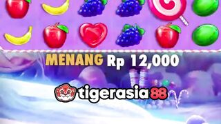 Bonanza masih yang tergacor - Tigerasia88